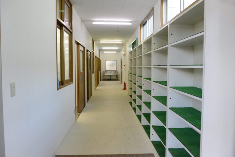 就労移行支援にいじめはある？予防法や対処法を徹底解説